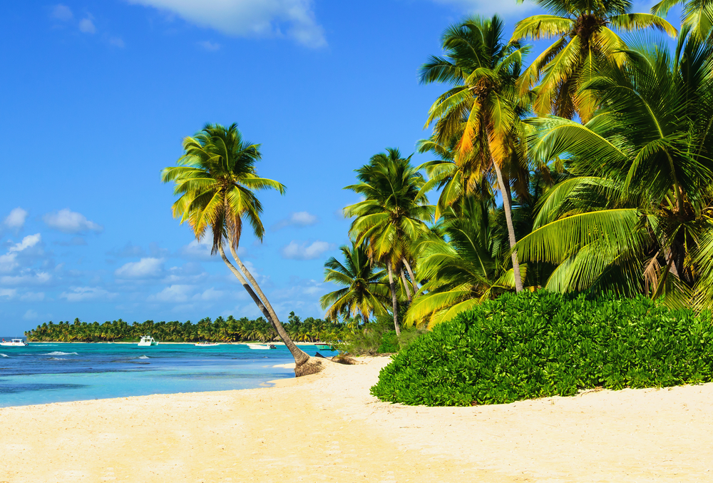 Martinique ou Guadeloupe : quelle destination choisir pour vos vacances ?