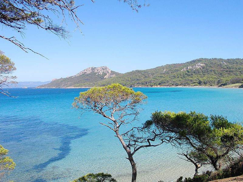 Comment découvrir l’île de Porquerolles ?