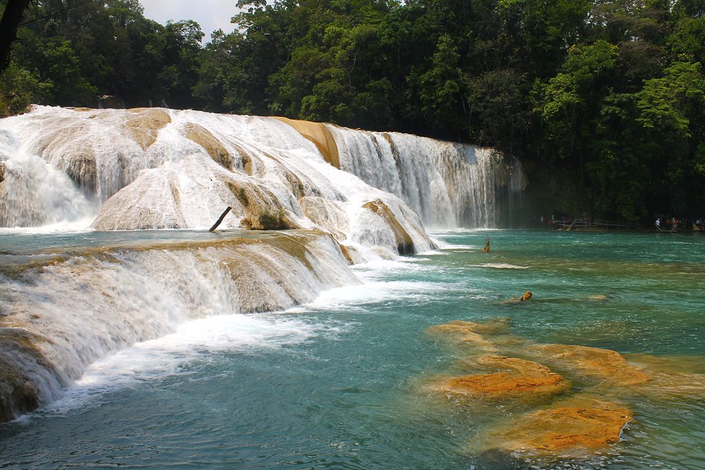 domaine-la-grangette.com2_Las_preciosas_cascadas_de_Agua_Azul,_Chiapas._02