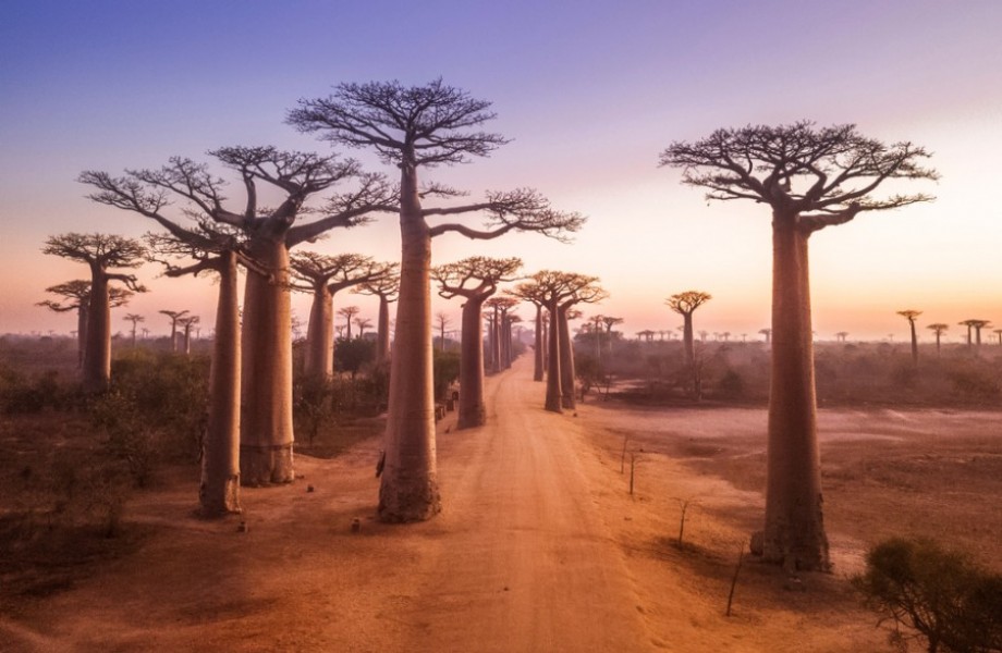 Découverte du paysage époustouflant de Madagascar