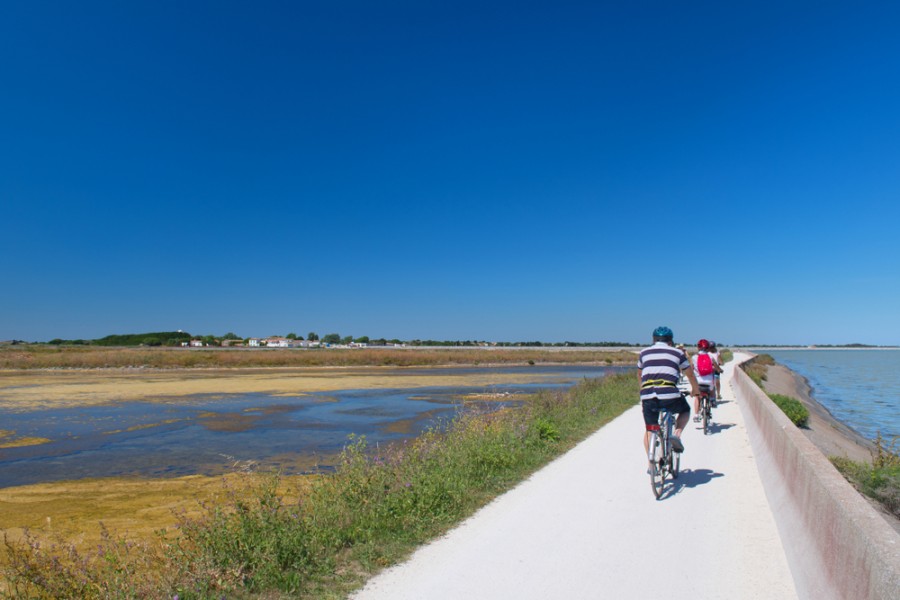 Ile de ré à vélo : quelle est la meilleure période ?