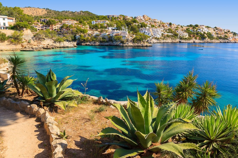 Préparer un voyage à Majorque : les bons plans