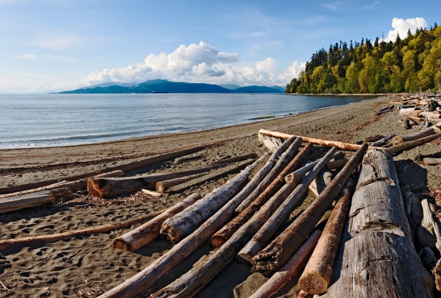 Quand aller sur l'île de Vancouver ?