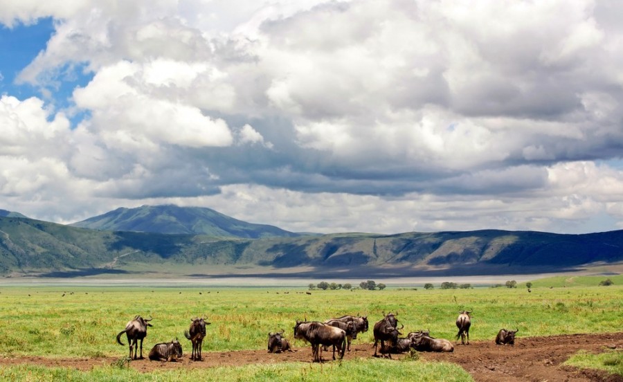 Quels sont les circuits touristiques incluant le cratère du Ngorongoro ?