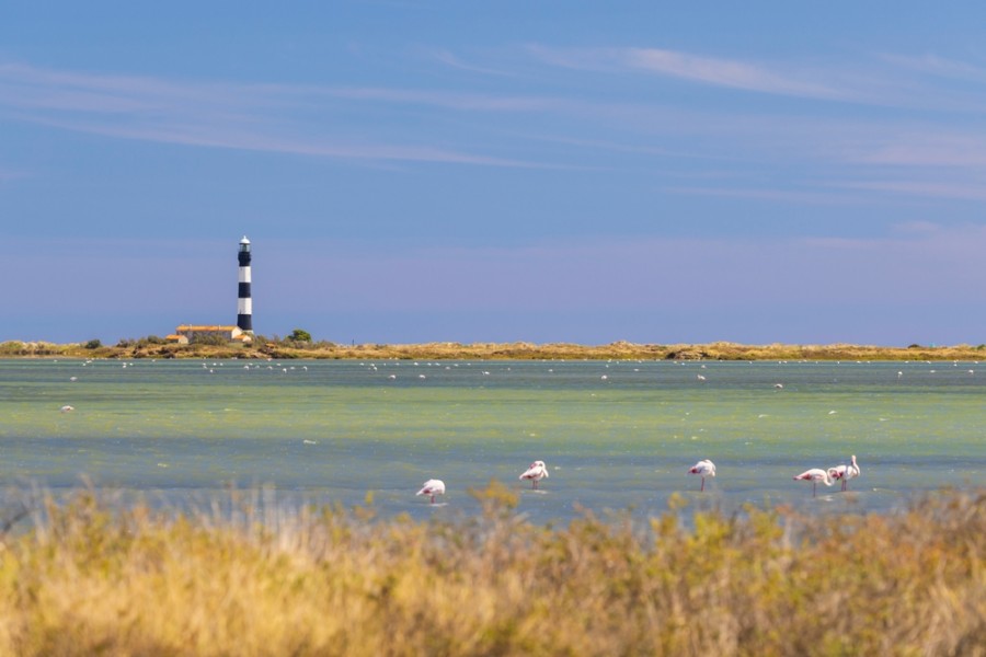 Quels sont les points d’intérêts à proximité du phare de Faraman ?