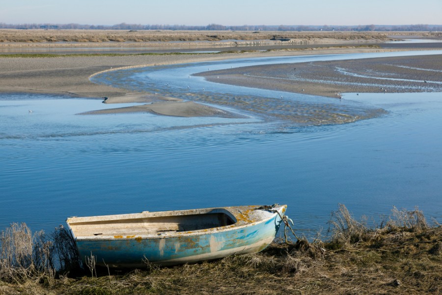 Visitez la Baie de Somme : quoi voir, quoi faire durant vos vacances !