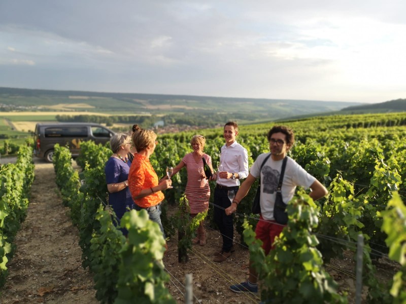 Oenotourisme : quels sont les grands domaines à visiter ?